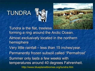 TUNDRA
•

•

•
•
•

Tundra is the flat, treeless
lands
forming a ring around the Arctic Ocean.
Almost exclusively located in the northern
hemisphere
Very little rainfall – less than 15 inches/year.
Permanently frozen subsoil called “Permafrost”
Summer only lasts a few weeks with
temperatures around 40 degrees Fahrenheit.
http://www.blueplanetbiomes.org/tundra.htm

 