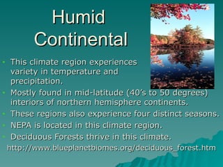 Humid
Humid
Continental
Continental
• This climate region experiences a
This climate region experiences a
variety in temperature and
variety in temperature and
precipitation.
precipitation.
• Mostly found in mid-latitude (40’s to 50 degrees)
Mostly found in mid-latitude (40’s to 50 degrees)
interiors of northern hemisphere continents.
interiors of northern hemisphere continents.
• These regions also experience four distinct seasons.
These regions also experience four distinct seasons.
• NEPA is located in this climate region.
NEPA is located in this climate region.
• Deciduous Forests thrive in this climate.
Deciduous Forests thrive in this climate.
http://www.blueplanetbiomes.org/deciduous_forest.htm
http://www.blueplanetbiomes.org/deciduous_forest.htm
 