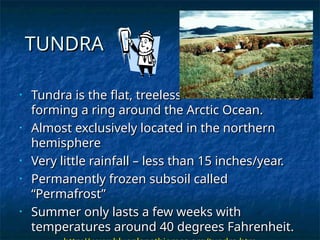 TUNDRA
TUNDRA
• Tundra is the flat, treeless lands
Tundra is the flat, treeless lands
forming a ring around the Arctic Ocean.
forming a ring around the Arctic Ocean.
• Almost exclusively located in the northern
Almost exclusively located in the northern
hemisphere
hemisphere
• Very little rainfall – less than 15 inches/year.
Very little rainfall – less than 15 inches/year.
• Permanently frozen subsoil called
Permanently frozen subsoil called
“Permafrost”
“Permafrost”
• Summer only lasts a few weeks with
Summer only lasts a few weeks with
temperatures around 40 degrees Fahrenheit.
temperatures around 40 degrees Fahrenheit.
 