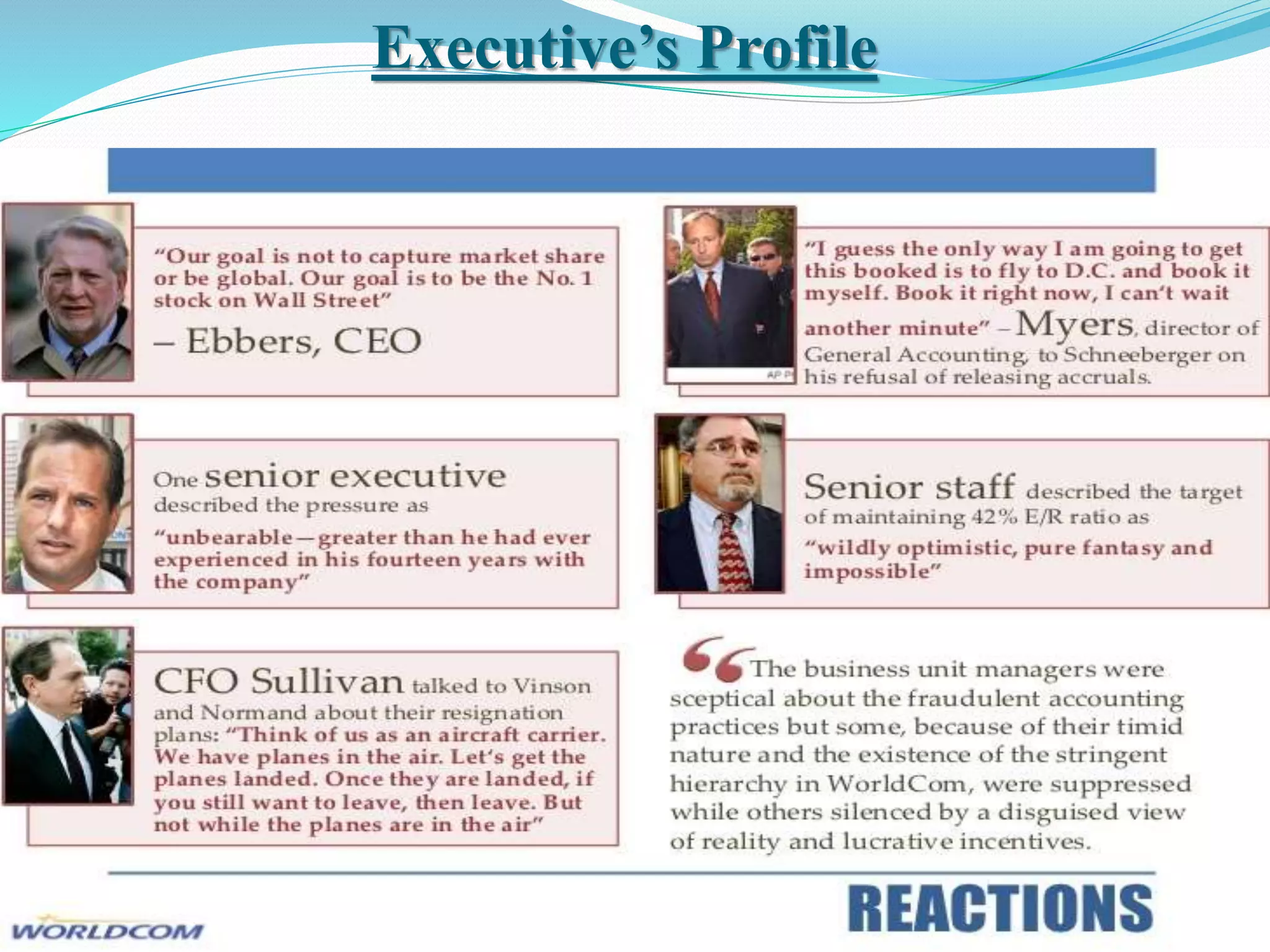Executive’s Profile
 