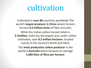 cultivation
Cultivated in over 80 countries worldwide The
world’s largest producer is China where farmers
harvest 4.6 million tones of fiber annually.
While the Indian cotton harvest totals is
2.3million, India has the largest area under cotton
cultivation, over 8.3 million hectares located
mainly in the country’s North and West.
The most productive cotton producer in the
world is Australia which harvests an average
1,689 kilos of fibre per hectare.
 