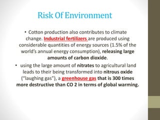Risk Of Environment
• Cotton production also contributes to climate
change. Industrial fertilizers are produced using
considerable quantities of energy sources (1.5% of the
world’s annual energy consumption), releasing large
amounts of carbon dioxide.
• using the large amount of nitrates to agricultural land
leads to their being transformed into nitrous oxide
(“laughing gas”), a greenhouse gas that is 300 times
more destructive than CO 2 in terms of global warming.
 