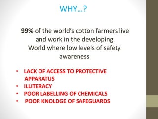 99% of the world’s cotton farmers live
and work in the developing
World where low levels of safety
awareness
• LACK OF ACCESS TO PROTECTIVE
APPARATUS
• ILLITERACY
• POOR LABELLING OF CHEMICALS
• POOR KNOLDGE OF SAFEGUARDS
WHY…?
 