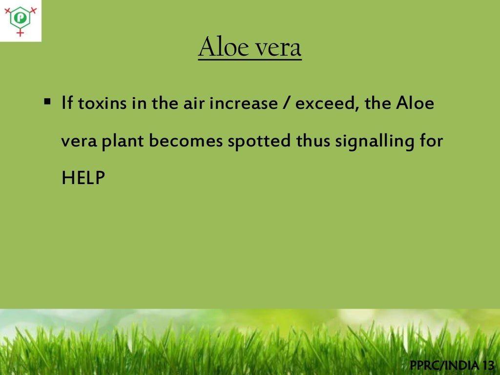 Plants that eliminate radiation