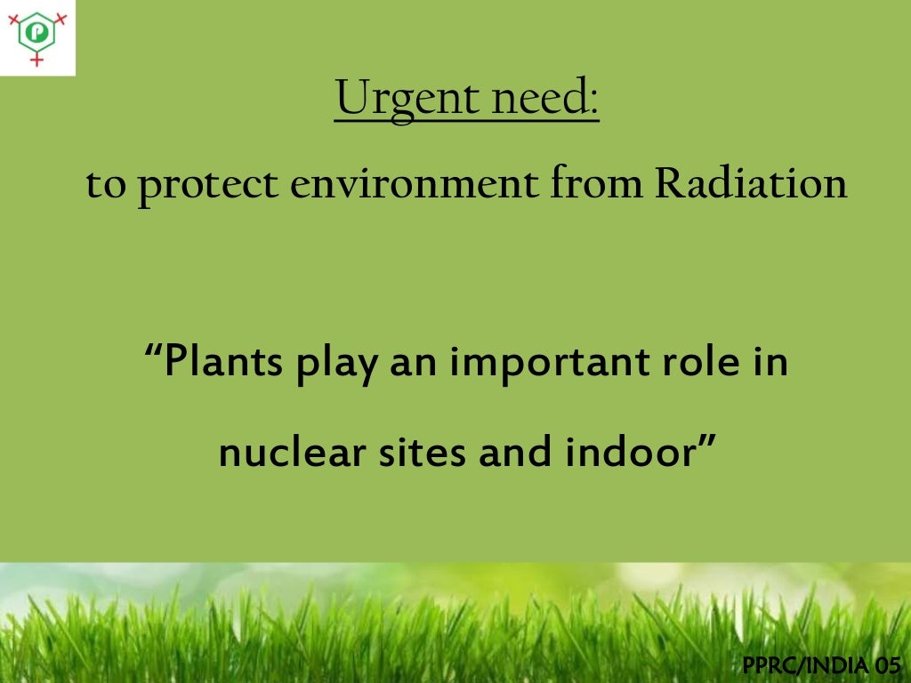 Plants that eliminate radiation