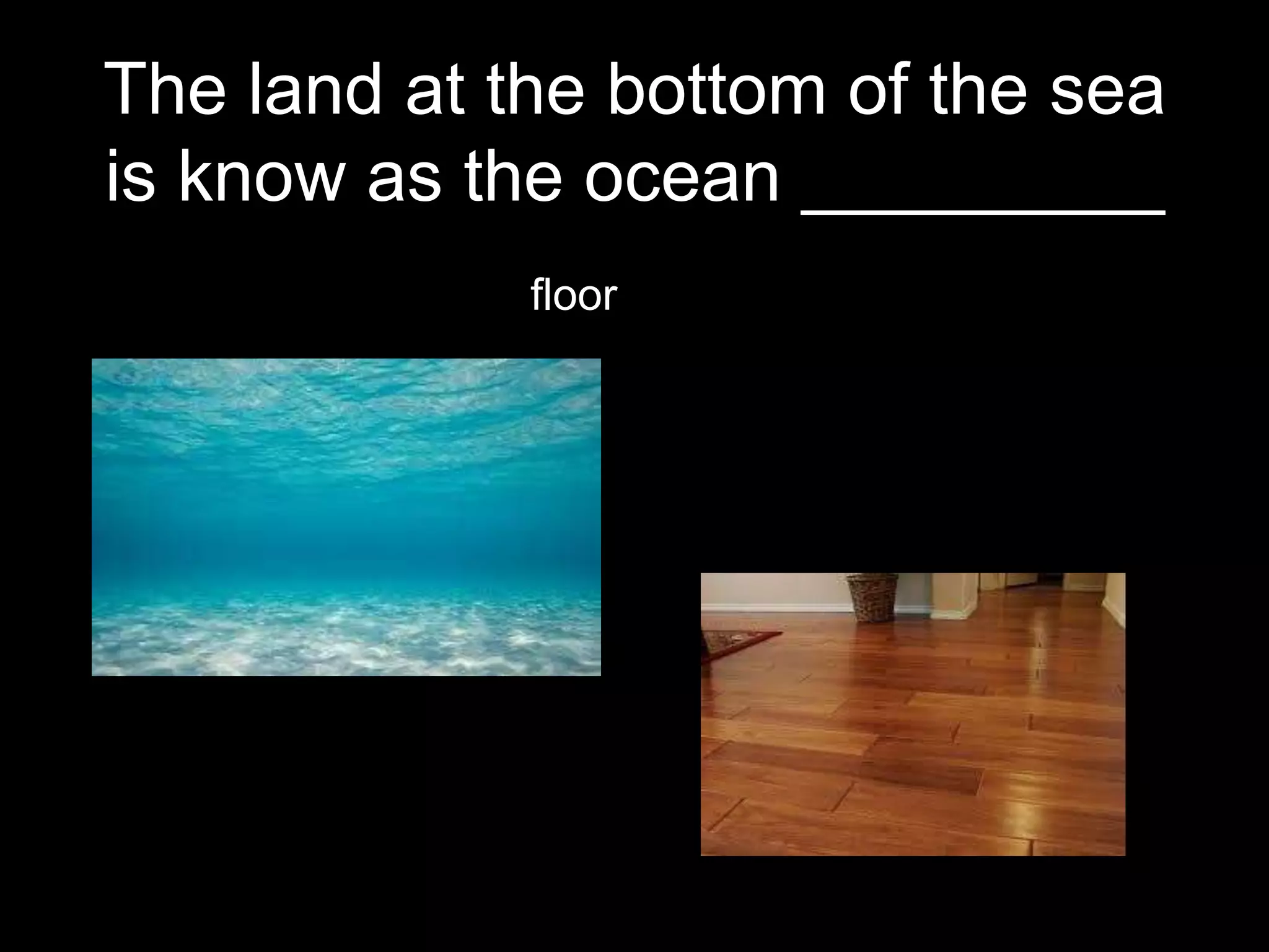World, earth, ground, floor | PPTX | Geology | Science