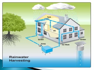 World environment day