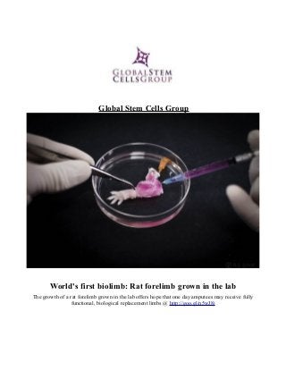 Global Stem Cells Group
World's first biolimb: Rat forelimb grown in the lab
The growth of a rat forelimb grown in the lab offers hope that one day amputees may receive fully
functional, biological replacement limbs @ http://goo.gl/n5wJ8j
 