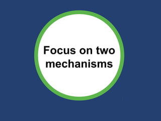 Gender Transformative Approaches: Strategies and Emerging Outcomes
