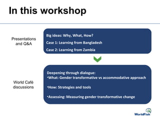 In this workshop
Big ideas: Why, What, How?
Case 1: Learning from Bangladesh
Case 2: Learning from Zambia
Deepening throug...