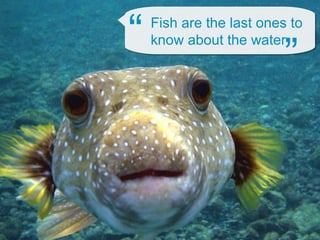 Gender Transformative Approaches: Strategies and Emerging Outcomes