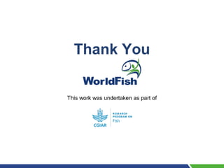 Gender Transformative Approaches: Strategies and Emerging Outcomes