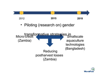Gender Transformative Approaches: Strategies and Emerging Outcomes