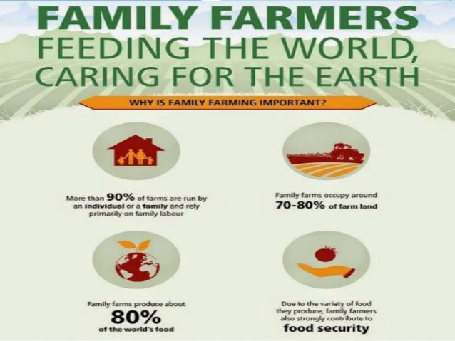 importance of world food