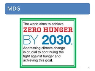 MDG
20
 