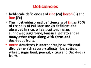 Deficiencies
• field-scale deficiencies of zinc (Zn) boron (B) and
iron (Fe)
• The most widespread deficiency is of Zn, as 70 %
of the soils of Pakistan are Zn deficient and
observed in rice, wheat, cotton, maize,
sunflower, sugarcane, brassica, potato and in
many other crops along with citrus and
deciduous fruits.
• Boron deficiency is another major Nutritional
disorder which severely affects rice, cotton,
wheat, sugar beet, peanut, citrus and Deciduous
fruits.
23
 