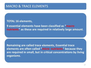 MACRO & TRACE ELEMENTS
TOTAL 16 elements,
9 essential elements have been classified as “macro
nutrients” as these are required in relatively large amount.
Remaining are called trace elements, Essential trace
elements are often called “micro nutrients” because they
are required in small, but in critical concentrations by living
organisms.
27
 