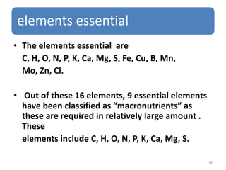 elements essential
• The elements essential are
C, H, O, N, P, K, Ca, Mg, S, Fe, Cu, B, Mn,
Mo, Zn, Cl.
• Out of these 16 elements, 9 essential elements
have been classified as “macronutrients” as
these are required in relatively large amount .
These
elements include C, H, O, N, P, K, Ca, Mg, S.
28
 