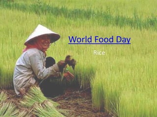 World Food Day
     Rice
 