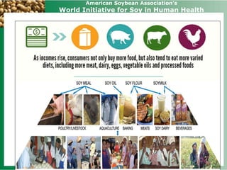 American Soybean Association’s 
World Initiative for Soy in Human Health 
 