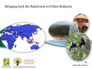 Bringing back the Rainforest to Urban Malaysia
By:
Samantha Kwan
 