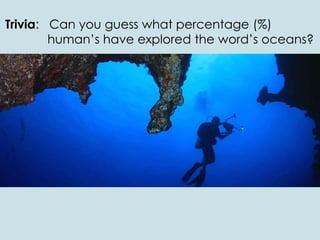 Trivia: Can you guess what percentage (%)
human’s have explored the word’s oceans?
 