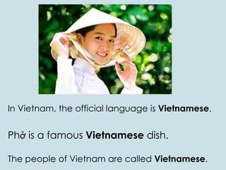 In Vietnam, the official language is Vietnamese.
Phở is a famous Vietnamese dish.
The people of Vietnam are called Vietnamese.
 