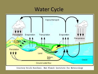 Water Cycle
 
