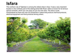 Isfara
This northern city of Tajikistan is among the oldest cities in Asia. It was a very important
location in the northerly part of the distinguished Silk Road. Isfara is known for its famous
apricot orchards, which you can enjoy as you tour the area. The area is quite
industrialized as there are over 20 companies in Isfara that produce chemical products,
electrical equipment and food products among others.
 