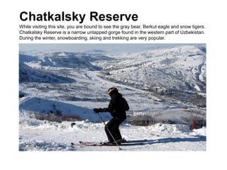 Chatkalsky Reserve
While visiting this site, you are bound to see the gray bear, Berkut eagle and snow tigers.
Chatkalsky Reserve is a narrow untapped gorge found in the western part of Uzbekistan.
During the winter, snowboarding, skiing and trekking are very popular.
 