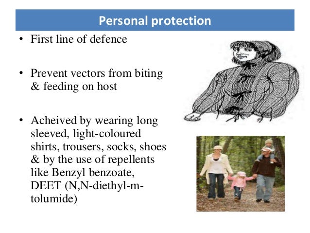 *World Health Day 2014 Vector Borne Ds - Dr Priya*