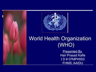 World Health Organization
(WHO)
Presented By
Hari Prasad Kafle
I D # 07MPH003
FHMS; AAIDU

 