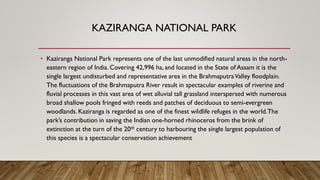 KAZIRANGA NATIONAL PARK
• Kaziranga National Park represents one of the last unmodified natural areas in the north-
eastern region of India. Covering 42,996 ha, and located in the State of Assam it is the
single largest undisturbed and representative area in the BrahmaputraValley floodplain.
The fluctuations of the Brahmaputra River result in spectacular examples of riverine and
fluvial processes in this vast area of wet alluvial tall grassland interspersed with numerous
broad shallow pools fringed with reeds and patches of deciduous to semi-evergreen
woodlands. Kaziranga is regarded as one of the finest wildlife refuges in the world.The
park’s contribution in saving the Indian one-horned rhinoceros from the brink of
extinction at the turn of the 20th century to harbouring the single largest population of
this species is a spectacular conservation achievement
 