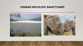 MANAS WILDLIFE SANCTUARY
 