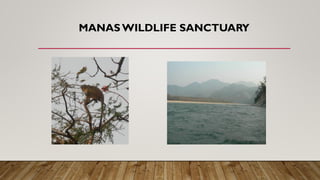 MANAS WILDLIFE SANCTUARY
 