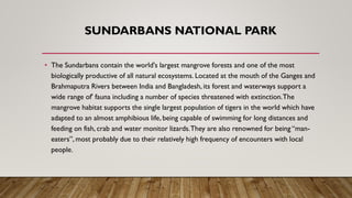 SUNDARBANS NATIONAL PARK
• The Sundarbans contain the world's largest mangrove forests and one of the most
biologically productive of all natural ecosystems. Located at the mouth of the Ganges and
Brahmaputra Rivers between India and Bangladesh, its forest and waterways support a
wide range of' fauna including a number of species threatened with extinction.The
mangrove habitat supports the single largest population of tigers in the world which have
adapted to an almost amphibious life, being capable of swimming for long distances and
feeding on fish, crab and water monitor lizards.They are also renowned for being “man-
eaters”, most probably due to their relatively high frequency of encounters with local
people.
 