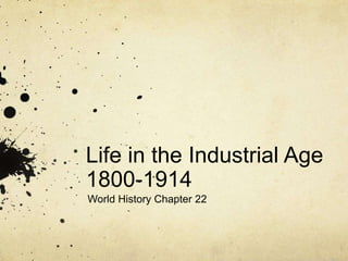 Life in the Industrial Age
1800-1914
World History Chapter 22
 