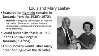 Louis and Mary Leakey
•Searched for hominid remains in
Tanzania from the 1930’s-1970’s
• Hominid – the group consisting of all modern
and extinct Great Apes (modern humans,
chimpanzees, gorillas and orangutans plus all
their ancestors).
•Found humanlike fossils in 1959
in the Olduvai Gorge in
Tanzania(in Africa)
•This discovery would usher many
other findings over the decades
 