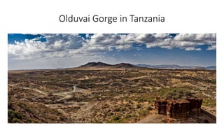 Olduvai Gorge in Tanzania
 