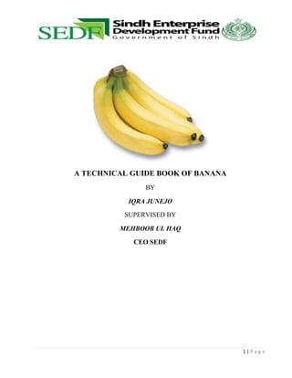 A TECHNICAL GUIDE BOOK OF BANANA
BY
IQRA JUNEJO
SUPERVISED BY
MEHBOOB UL HAQ
CEO SEDF

1|Page

 