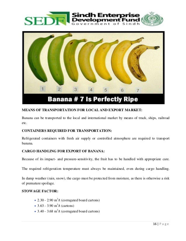 World history of banana