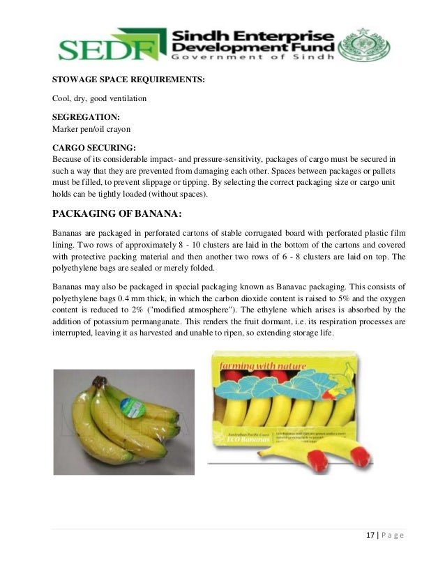 World history of banana