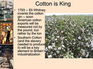 Cotton is King 1793 -- Eli Whitney invents the cotton gin -- soon American cotton exports will be measured not by the pound, but rather by the ton Southern Cotton (and the slavery needed to produce it) will be a key element to Britain’s industrialization 