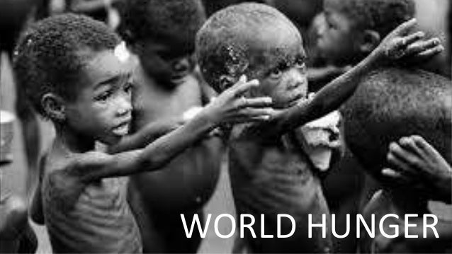 Image result for world hunger