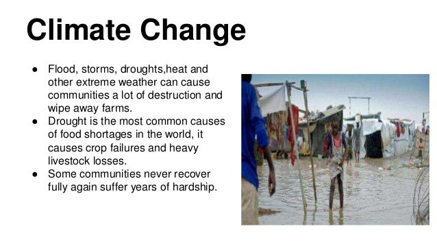 causes and solutions to world hunger World hunger finds itself on a list of cliché phrases that makes it into goal, but it will require a better understanding of the causes of food insecurity world hunger that day, we were able to present a few targeted solutions. causes and solutions to world hunger World hunger finds itself on a list of cliché phrases that makes it into goal, but it will require a better understanding of the causes of food insecurity world hunger that day, we were able to present a few targeted solutions.
