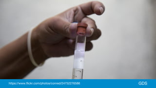 GDShttps://www.flickr.com/photos/conred/24752276586
 