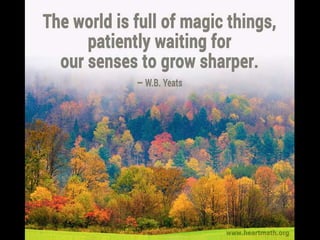 World is full of magic things