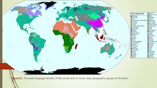 Presentation on World Language Regions | PPTX