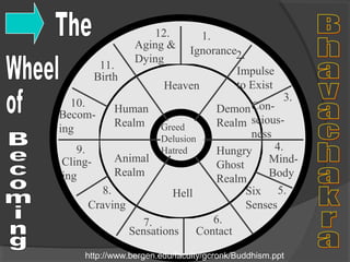 1. 
Ignorance 
12. 
Aging & 
Dying 
2. 
Impulse 
to Exist 
Con-scious-ness 
3. 
Six 5. 
Senses 
11. 
Birth 
10. 
Becom-ing 
6. 
Heaven 
Contact 
7. 
Sensations 
8. 
Craving 
4. 
Mind- 
Body 
9. 
Cling-ing 
Greed 
Delusion 
Hatred 
Hell 
Human 
Realm 
Demon 
Realm 
Animal 
Realm 
Hungry 
Ghost 
Realm 
http://www.bergen.edu/faculty/gcronk/Buddhism.ppt 
 