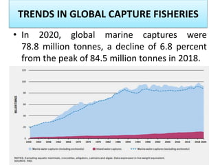 World Ocean Fisheries By B.pptx